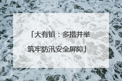 大有镇：多措并举筑牢防汛安全屏障