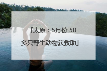 太原：5月份 50多只野生动物获救助