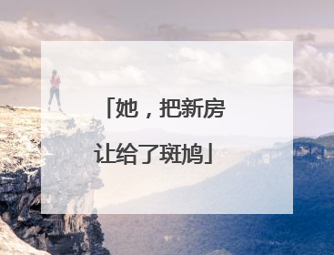 她，把新房让给了斑鸠