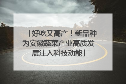 好吃又高产！新品种为安徽蔬菜产业高质发展注入科技动能