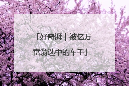 好奇湃｜被亿万富翁选中的车手