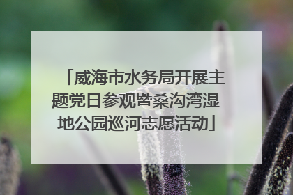 威海市水务局开展主题党日参观暨桑沟湾湿地公园巡河志愿活动