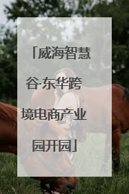 威海智慧谷·东华跨境电商产业园开园