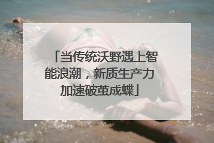当传统沃野遇上智能浪潮，新质生产力加速破茧成蝶