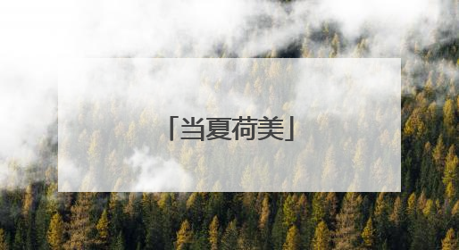 当夏荷美