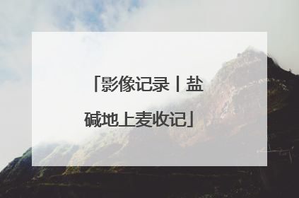 影像记录丨盐碱地上麦收记