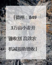 德州：849.3万亩小麦开镰收割 高效农机减损助增收
