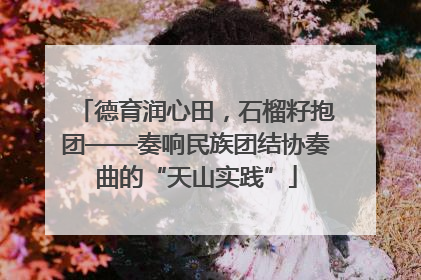 德育润心田，石榴籽抱团——奏响民族团结协奏曲的“天山实践”