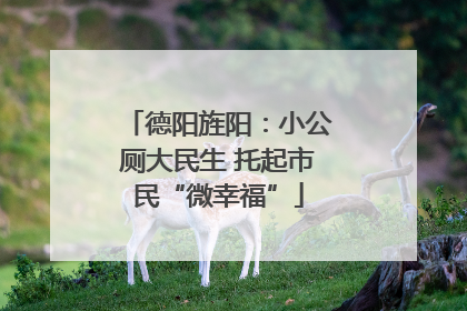 德阳旌阳：小公厕大民生 托起市民“微幸福”