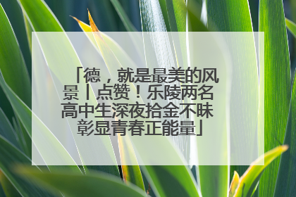 德，就是最美的风景丨点赞！乐陵两名高中生深夜拾金不昧 彰显青春正能量