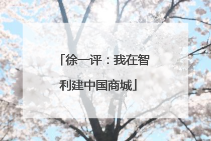 徐一评：我在智利建中国商城
