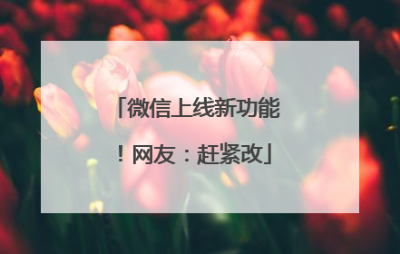 微信上线新功能！网友：赶紧改