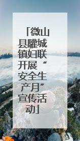 微山县驩城镇妇联开展“安全生产月”宣传活动