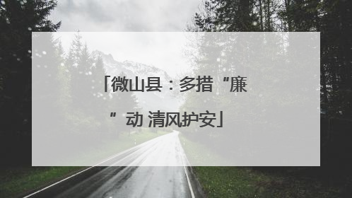 微山县：多措“廉”动 清风护安