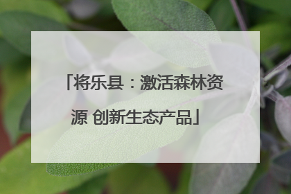 将乐县：激活森林资源 创新生态产品