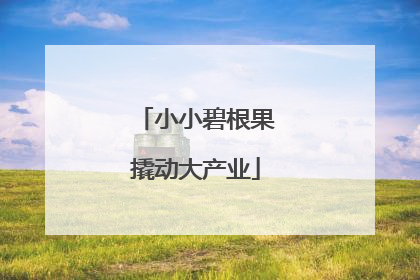 小小碧根果撬动大产业