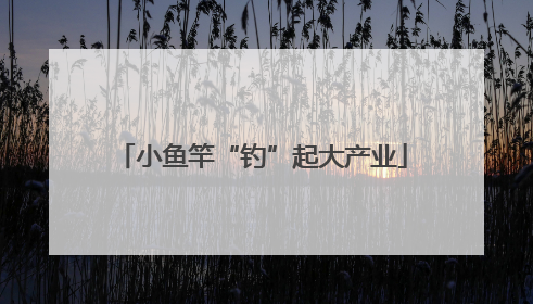小鱼竿“钓”起大产业