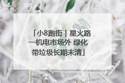 小8跑街｜星火路一机电市场外 绿化带垃圾长期未清