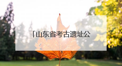 山东省考古遗址公园联盟正式成立
