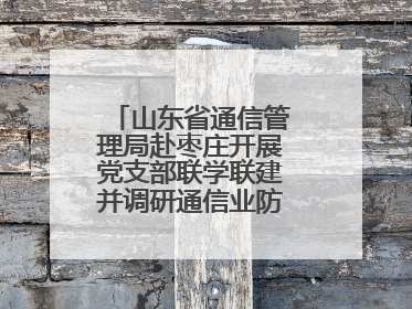 山东省通信管理局赴枣庄开展党支部联学联建并调研通信业防汛准备工作