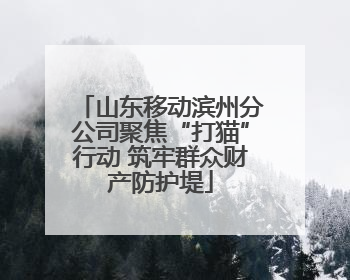 山东移动滨州分公司聚焦“打猫”行动 筑牢群众财产防护堤