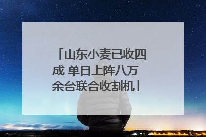 山东小麦已收四成 单日上阵八万余台联合收割机