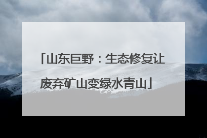 山东巨野：生态修复让废弃矿山变绿水青山