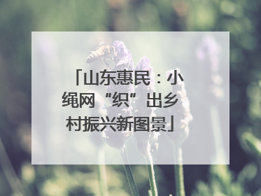 山东惠民：小绳网“织”出乡村振兴新图景