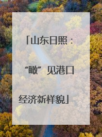 山东日照：“瞰”见港口经济新样貌