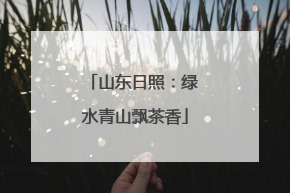山东日照：绿水青山飘茶香