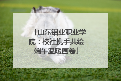山东铝业职业学院：校社携手共绘端午温暖画卷