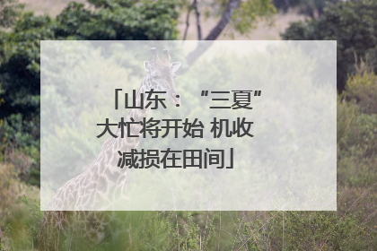 山东：“三夏”大忙将开始 机收减损在田间