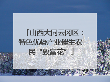 山西大同云冈区：特色优势产业催生农民“致富花”