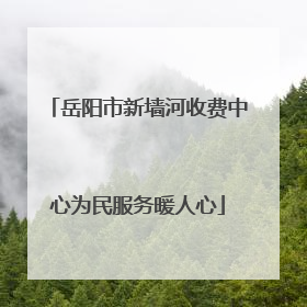 岳阳市新墙河收费中心为民服务暖人心