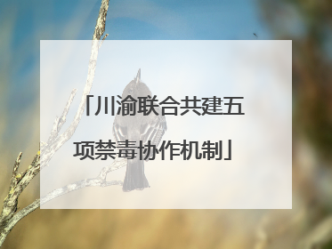 川渝联合共建五项禁毒协作机制
