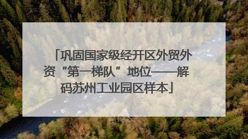 巩固国家级经开区外贸外资“第一梯队”地位——解码苏州工业园区样本