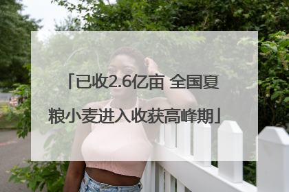 已收2.6亿亩 全国夏粮小麦进入收获高峰期
