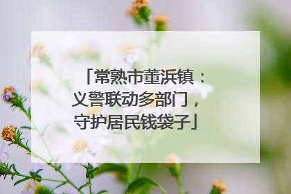 常熟市董浜镇：义警联动多部门，守护居民钱袋子