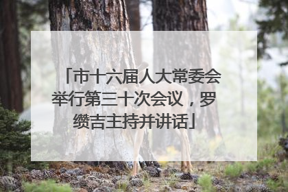 市十六届人大常委会举行第三十次会议，罗缵吉主持并讲话