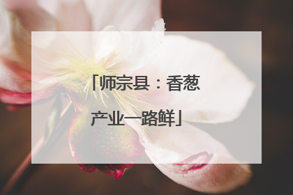 师宗县：香葱产业一路鲜