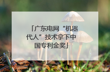 广东电网“机器代人”技术拿下中国专利金奖