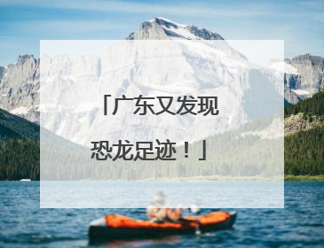 广东又发现恐龙足迹！