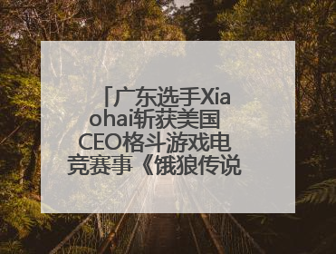 广东选手Xiaohai斩获美国CEO格斗游戏电竞赛事《饿狼传说》项目冠军