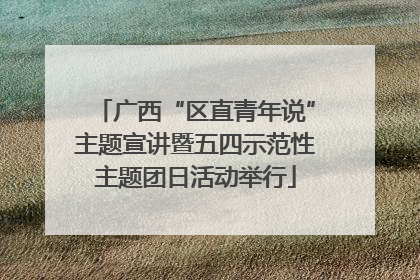 广西“区直青年说”主题宣讲暨五四示范性主题团日活动举行