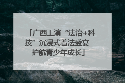 广西上演“法治+科技”沉浸式普法盛宴 护航青少年成长