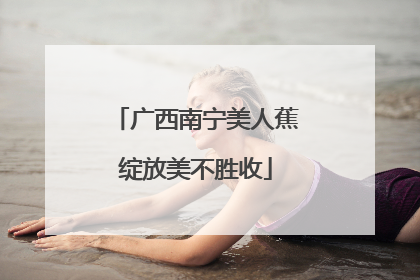 广西南宁美人蕉绽放美不胜收