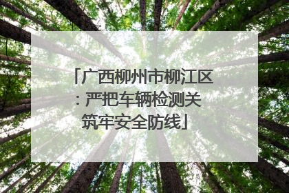 广西柳州市柳江区：严把车辆检测关 筑牢安全防线