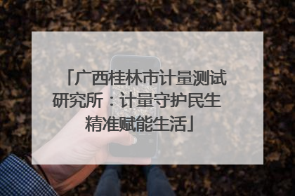 广西桂林市计量测试研究所：计量守护民生 精准赋能生活