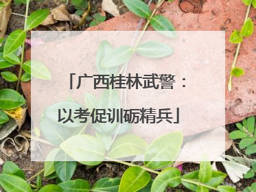 广西桂林武警：以考促训砺精兵