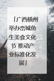 广西横州举办峦城鱼生美食文化节 推动产业标准化发展